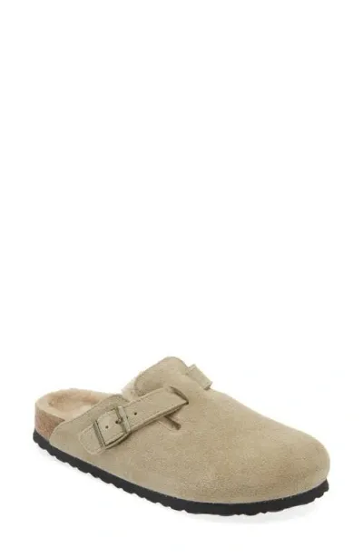 Birkenstock Boston Genuine Shearling Lined Clog In Taupe