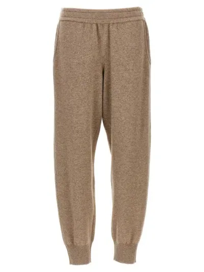 Brunello Cucinelli Cashmere Joggers In Brown