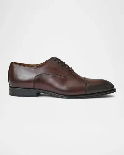 Bruno Magli Men's Maioco Cap Toe Oxfords - Regular In Rust