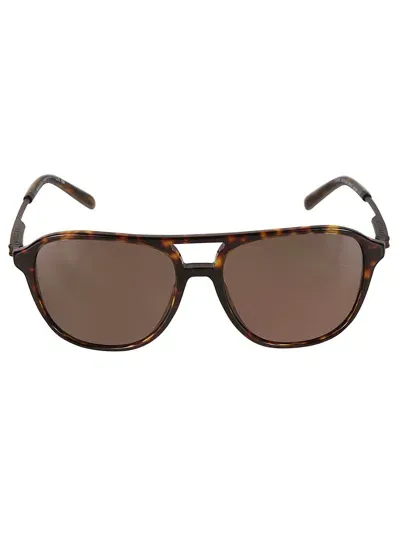 Bulgari Sole Sunglasses In 504/53