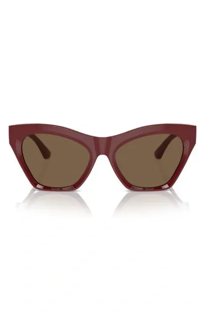 Burberry 55mm Cat Eye Sunglasses In Bordeaux