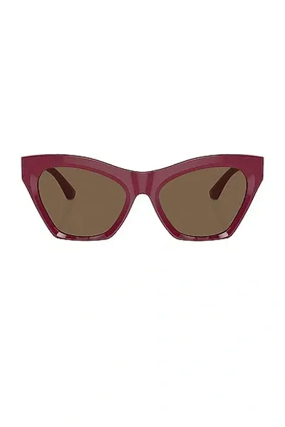 Burberry Cat Eye Sunglasses In Bordeaux