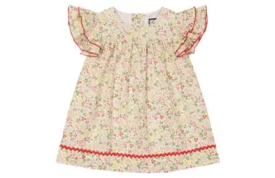 Busy Bees Maeve Ruffle Sleeve Baby Dress In Flora