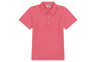 Busy Bees Kids'  Short Sleeve Polo In Red Mini Navy Stripe