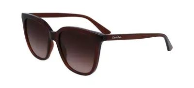 Calvin Klein Mod. Ck23506s In Brown