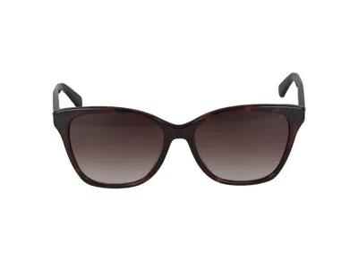 Calvin Klein Sunglasses In Brown Havana