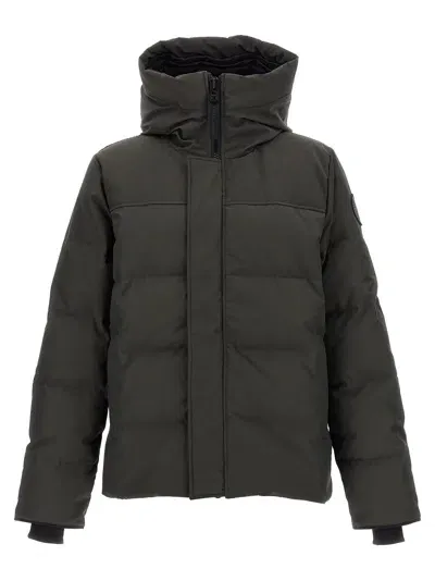 Canada Goose Macmillan Cotton Blend Down Jacket In Gray