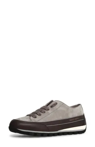 Candice Cooper Janis Strip Sneaker In Anthracite Grey