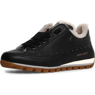 Candice Cooper Runlo Genuine Shearling Lined Sneaker In Black