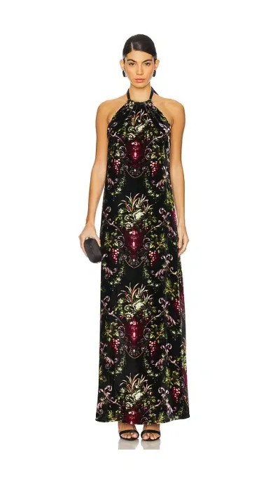 Cara Cara Geneva Open-back Satin-trimmed Floral-print Velvet Halterneck Maxi Dress In Black Fleur