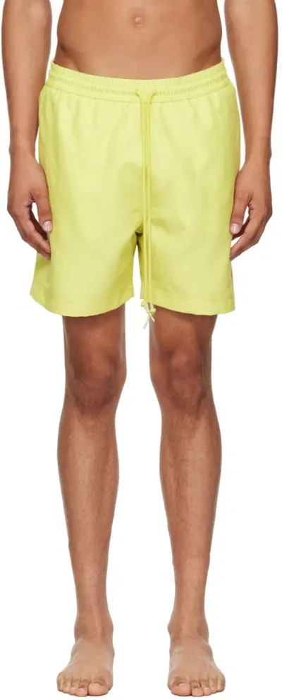 Carhartt Green Chase Swim Shorts