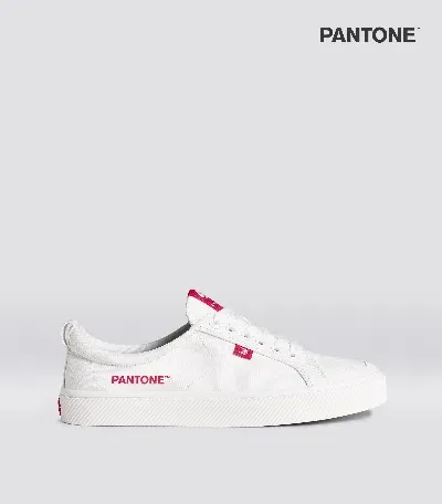 Cariuma Oca Low Pantone Off-white Canvas Viva Magenta Sneaker Men In Off-white/pantone Viva Magenta