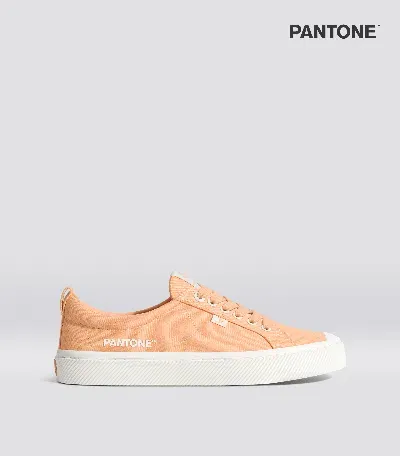 Cariuma Oca Low Pantone Peach Fuzz Canvas Contrast Thread Sneaker Men