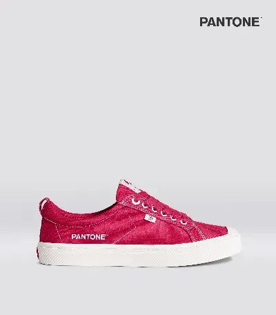 Cariuma Oca Low Pantone Viva Magenta Canvas Contrast Thread Sneaker Men