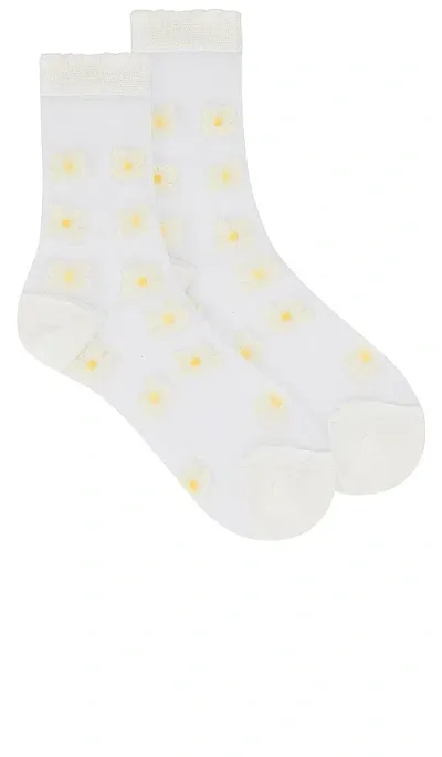 Casa Clara Sienna Socks In Daisy