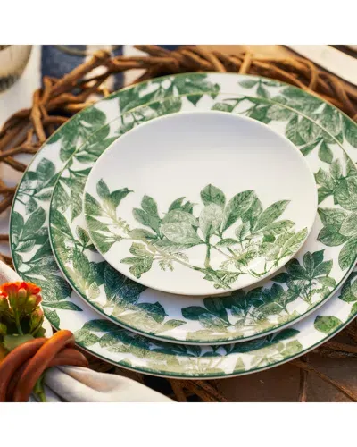 Caskata Arbor Green Rimmed Dinner Plates, Set Of 4