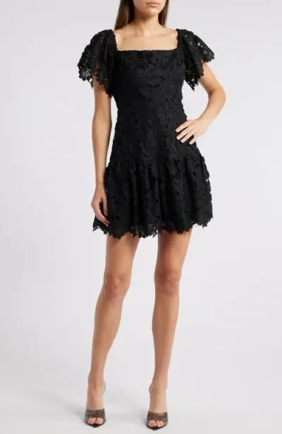 Chelsea28 Flutter Sleeve Lace Minidress In Black