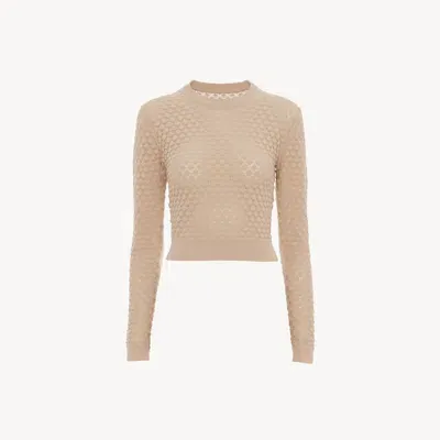 Chloé Cropped Jumper In Cotton Pointelle Knit Pink Size S 100% Cotton