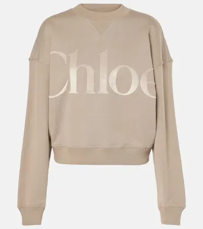 Chloé Generous Sweater In Cotton Fleece In Nude & Neutrals