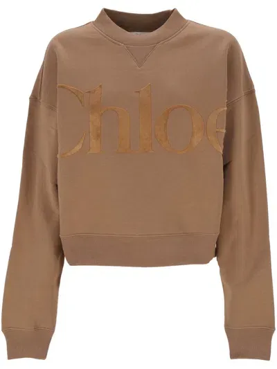 Chloé Oversized Cotton Fleece Sweater In Brown