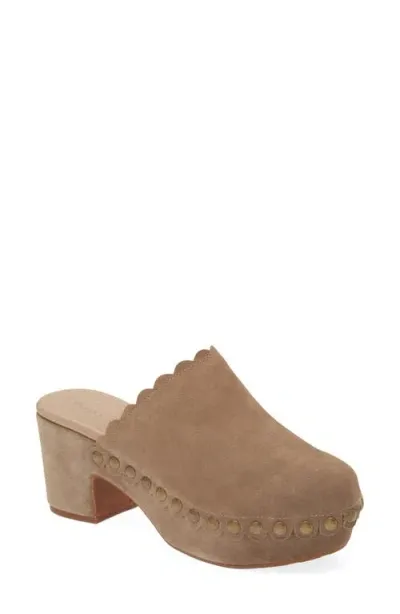 Chocolat Blu Gemini Platform Clog In Taupe Suede