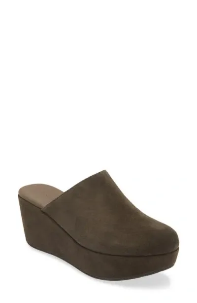 Chocolat Blu Yoma Platform Clog In Olive Suede