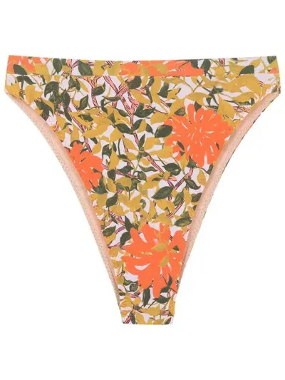 Clube Bossa Floral-print Bikini Bottoms In Orange