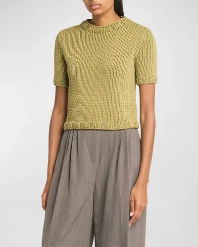 Co Knit Shrunken Tee In Sage