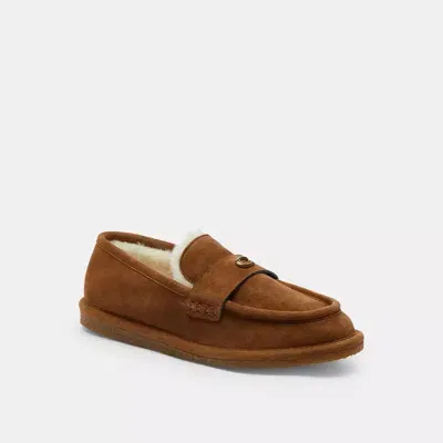 Coach Forest Slipper In Brown