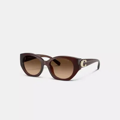 Coach Idol Ovale Sonnenbrille In Brown