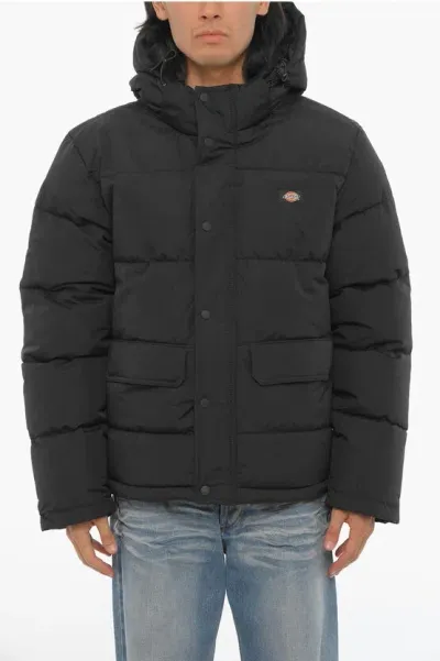 Dickies Solid Color Padded Jacket With Logoed-buttons In Black