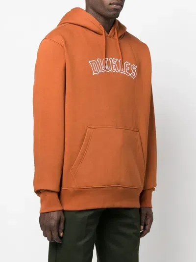 Dickies Union Springs Hoodie In Orange