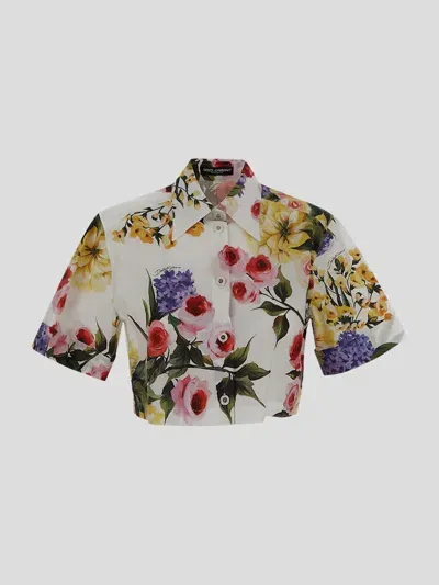 Dolce & Gabbana Dolce&gabbana Shirt In Giardino