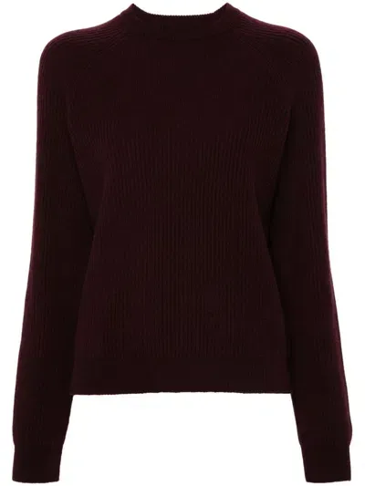 Fabiana Filippi Cashmere Sweater In Purple