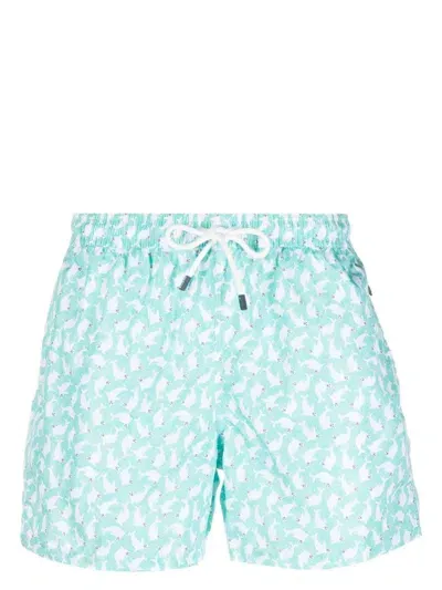 Fedeli Madeira Seal-print Swim Shorts In Green