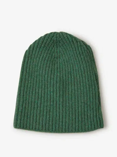 Fedeli Cashmere Knit Beanie In Green