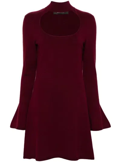 Federica Tosi Cut-out Mini Dress In Burgundy