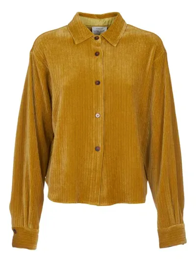 Forte Forte Plain Knit Buttoned Jacket In Öle