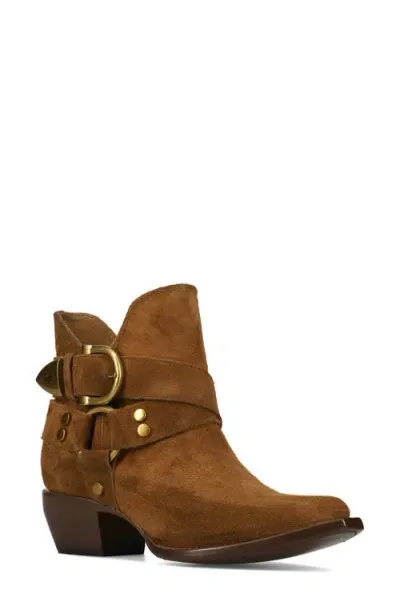 Frye Sacha Harness Bootie In Bark