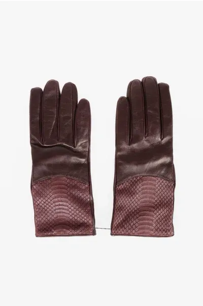 Gala Gloves Leather Gloves With Snake Printed In Brown