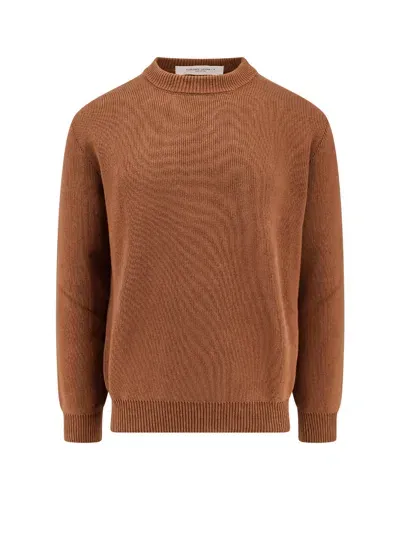 Golden Goose Ribbed Cotton Sweater In Brown