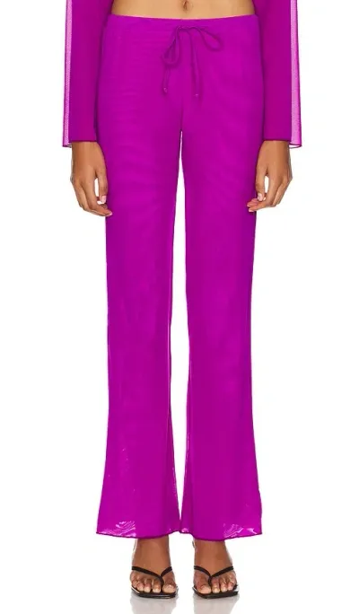 Gonza Wide Leg Pants In Purple