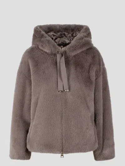 Herno Fur Bomber Jacket In Brown