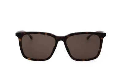 Hugo Boss Boss  Square Frame Sunglasses In Brown