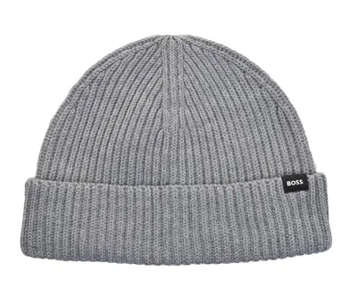 Hugo Boss Pedro Mens Beanie In Silver 041