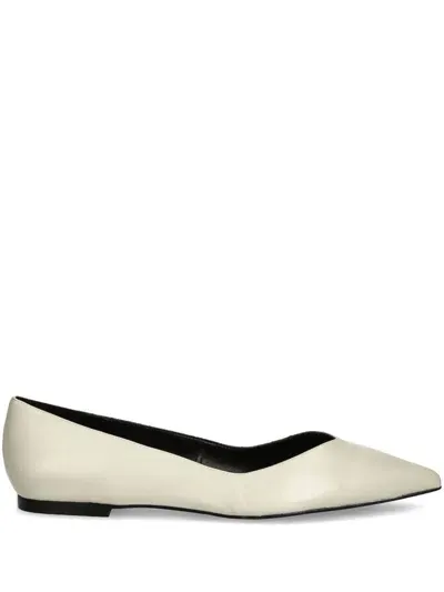 Hugo Pointed-toe Ballet Flats In Metallic