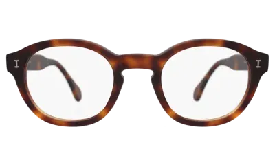 Illesteva Bellport Optical In Brown