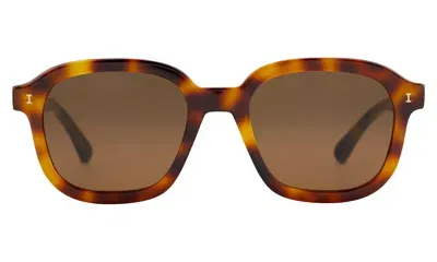 Illesteva Bogota Sunglasses In Brown