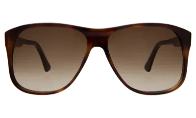 Illesteva Dionne Sunglasses In Brown