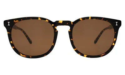 Illesteva Eldridge 56 Sunglasses In Brown